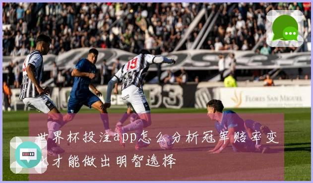 世界杯投注app怎么分析冠军赔率变化才能做出明智选择
