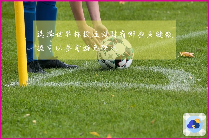选择世界杯投注站时有哪些关键数据可以参考避免踩坑