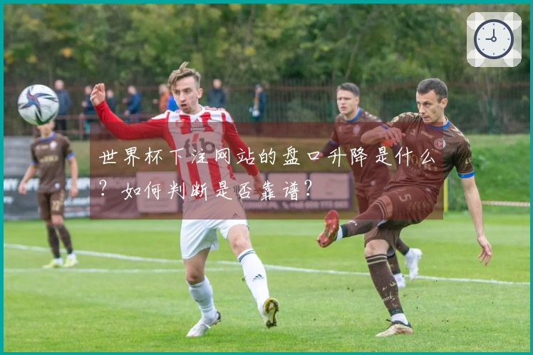 世界杯下注网站的盘口升降是什么?如何判断是否靠谱?