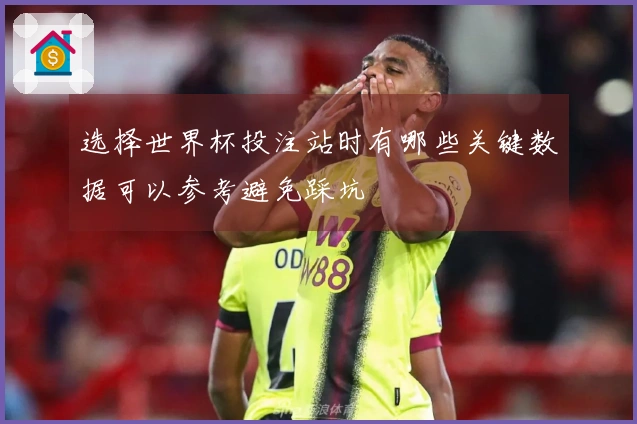 选择世界杯投注站时有哪些关键数据可以参考避免踩坑