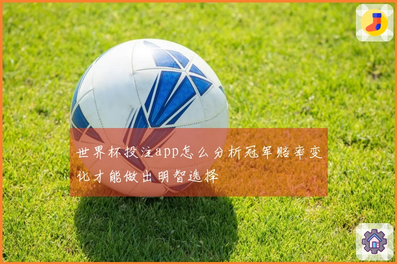 世界杯投注app怎么分析冠军赔率变化才能做出明智选择